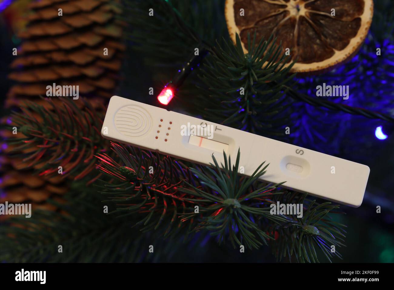 Rapid antigen self-test with a negative result on the branches of a Christmas tree. A symbol of preventing the spread of the covid-19 over the holiday Stock Photo
