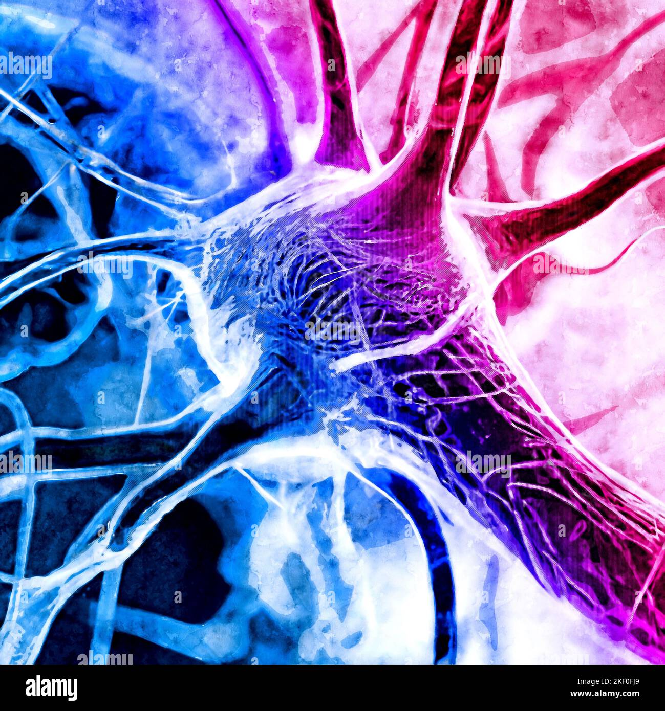 Synaptic transmission is the process by which one neuron communicates with another. Information, axon and electrical impulse. Connection, neuron Stock Photo