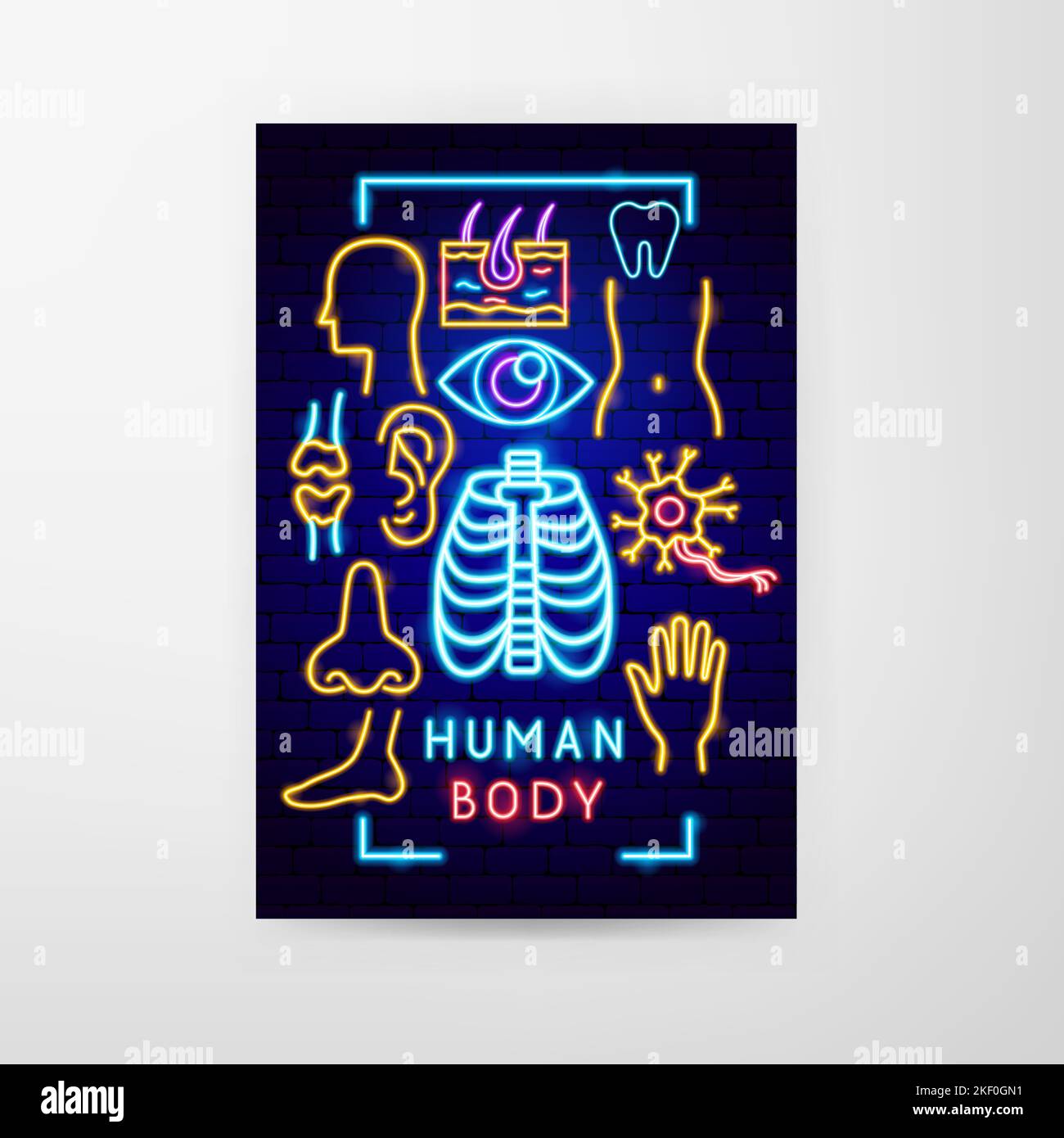 Human Body Neon Flyer Stock Vector
