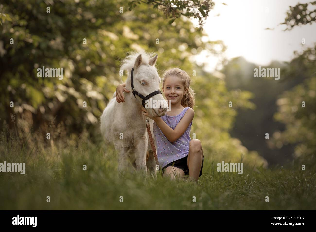 girl and Mini Shetland Pony Stock Photo