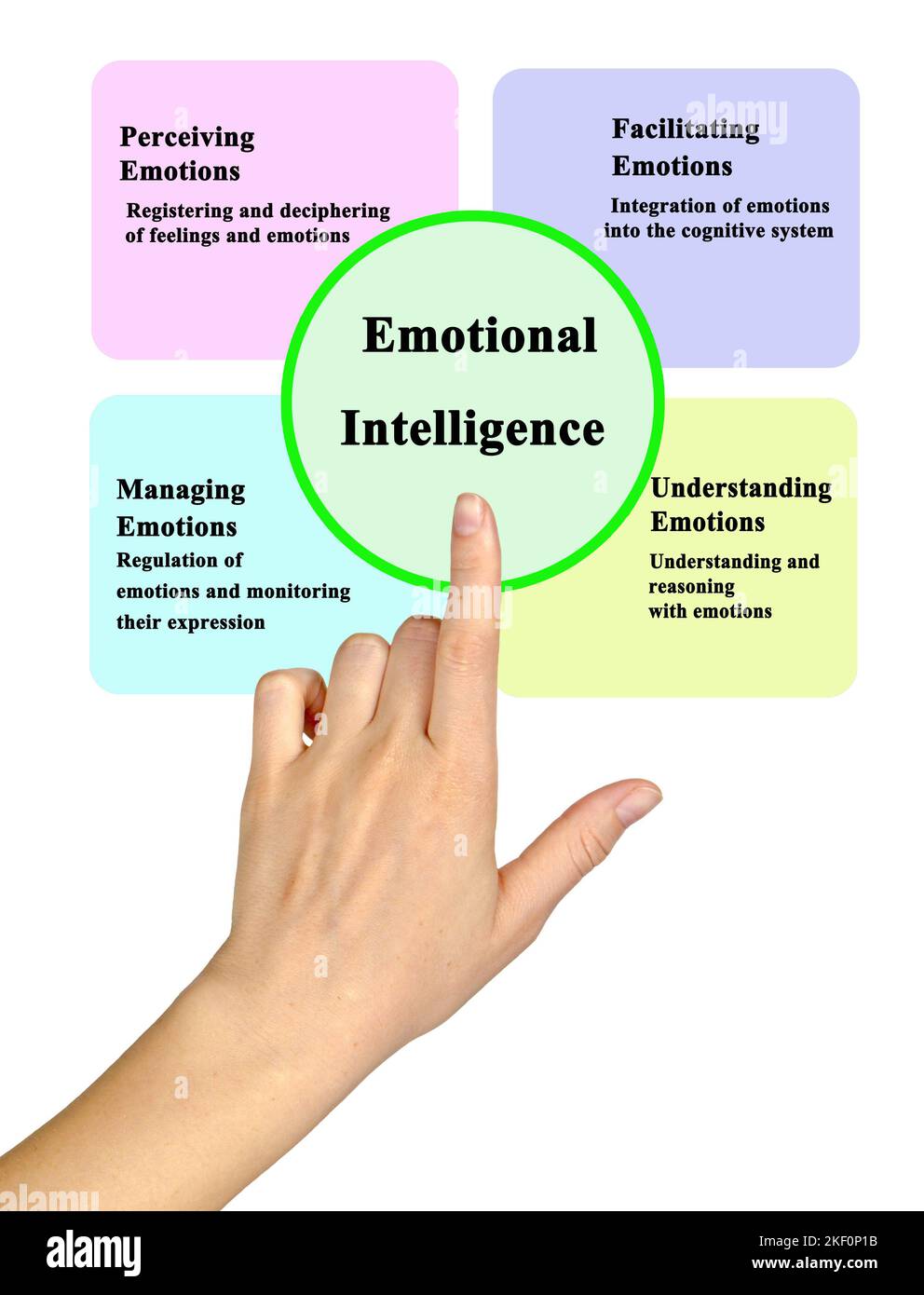 Four Components of Emotional Intelligence Stock Photo