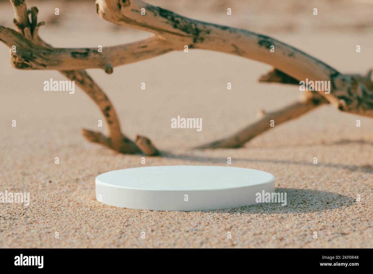 Empty round white platform podium and dry tree twig on the beach Stock Photo