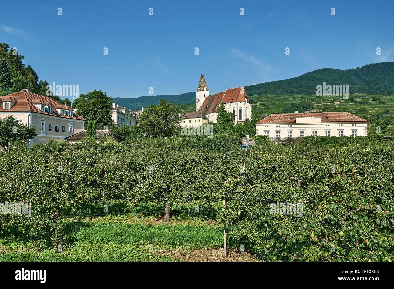 Wine Village of Spitz,Wachau Valley,lower Austria Stock Photo