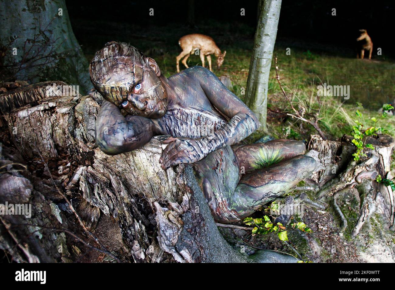 From the COLOR BODIES calendar 2023 - camouflage art bodypainting: tree root bodypainting with model Mina and deer at Groninger Feld near Hameln. A project by the photographer Tschiponnique Skupin and the bodypainter Jörg Düsterwald. Stock Photo