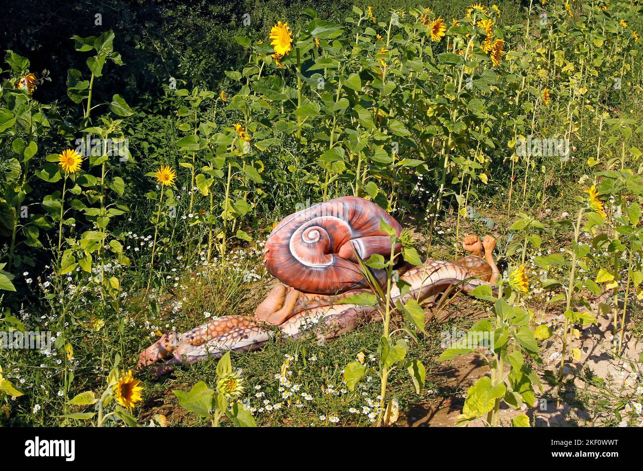 From the  COLOR BODIES calendar 2023 - camouflage art bodypainting: snail bodypainting with model Katharina as a snail and model Julia as a snail shell in a sunflower field in Coppenbrugge. A project by the photographer Tschiponnique Skupin and the bodypainter Jörg Düsterwald. Stock Photo