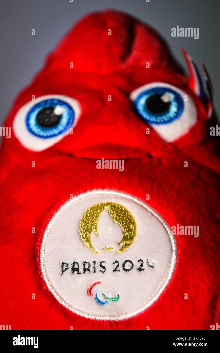 Paris, France, France. 15th Nov, 2022. This photograph shows a plush