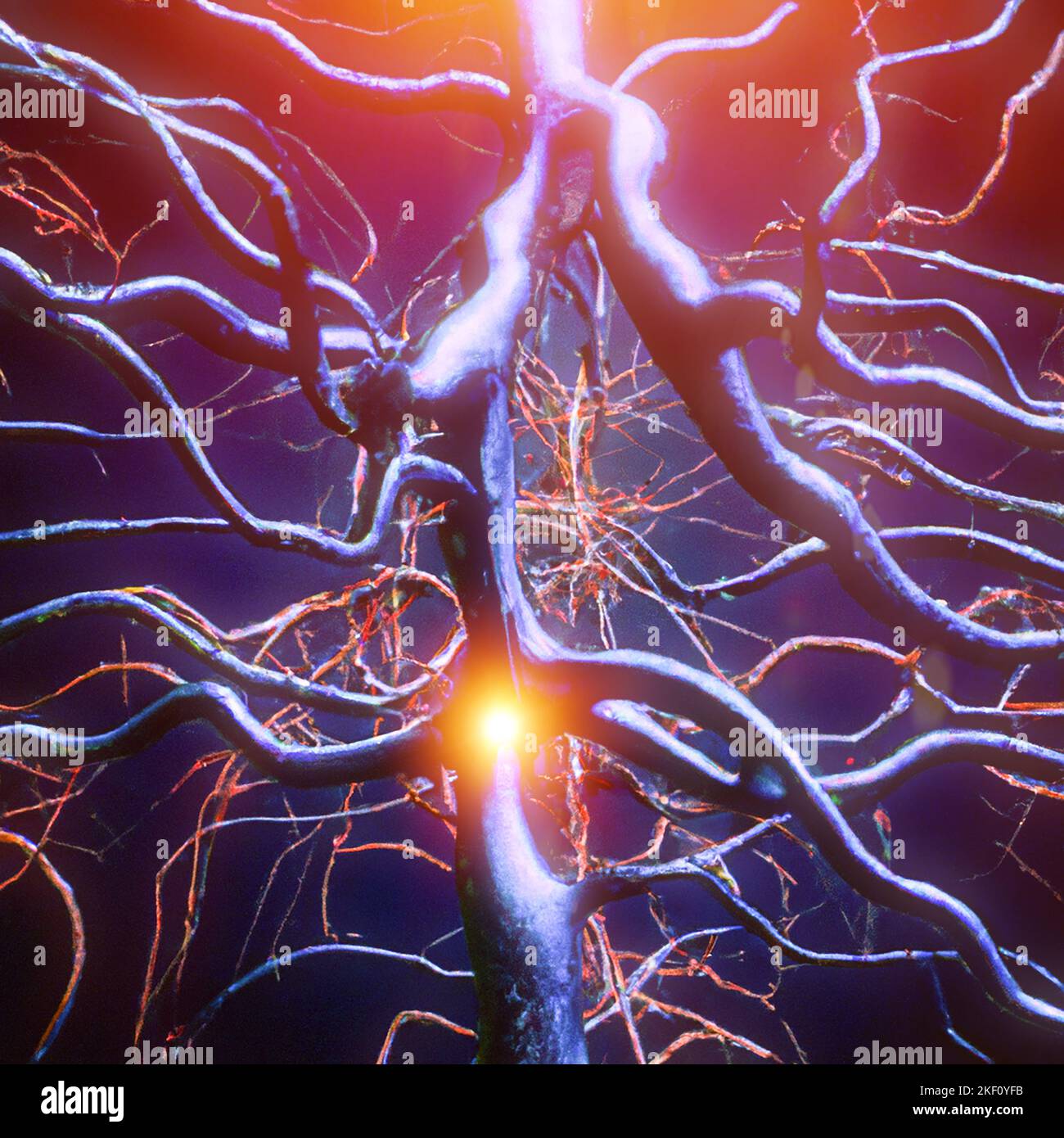 Synaptic transmission is the process by which one neuron communicates with another. Information, axon and electrical impulse. Connection, neuron Stock Photo