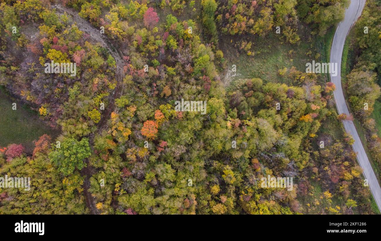 scenic drone aerial view of autumn coloured tress forest in Vezzolacca Italy Stock Photo