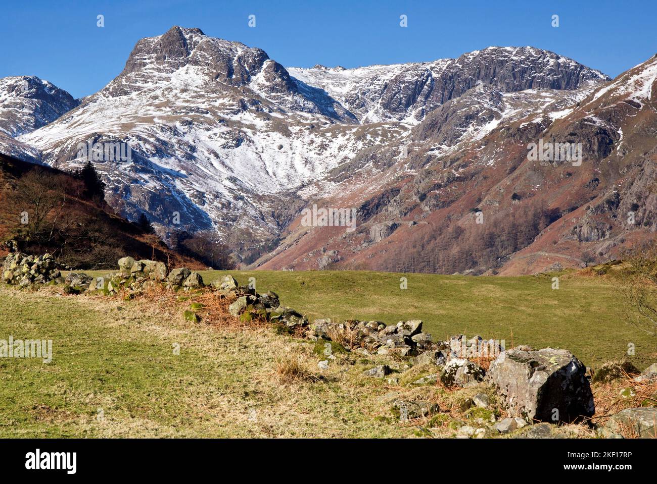 Greater Langdale valley with views to Langdale Pikes in winter Lake District National Park Cumbria England United Kingdom Stock Photo