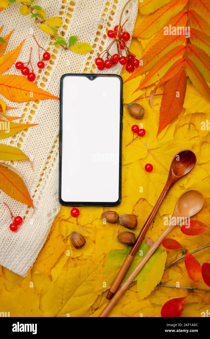 Close-up mockup of a smartphone display on a background in yellow orange red tones: white knitted plaid berries spoons hazelnuts. Template for autumn Stock Photo