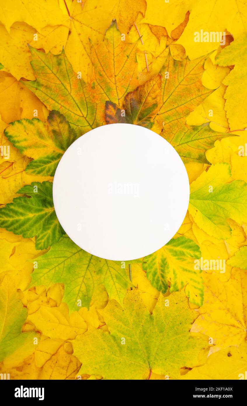 Wedding logo monogram hires stock photography and images Alamy