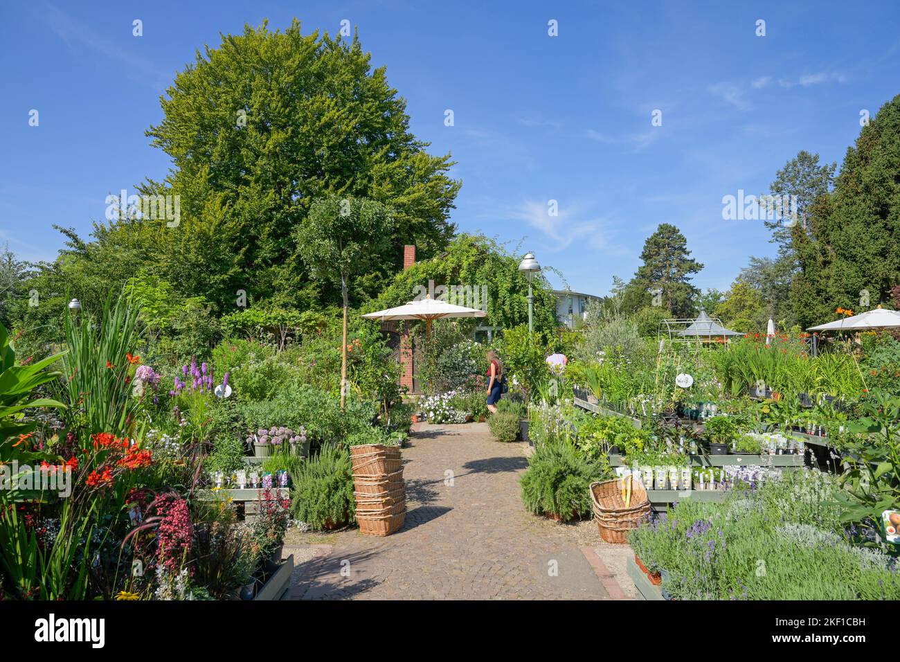 Gartencenter hires stock photography and images Alamy