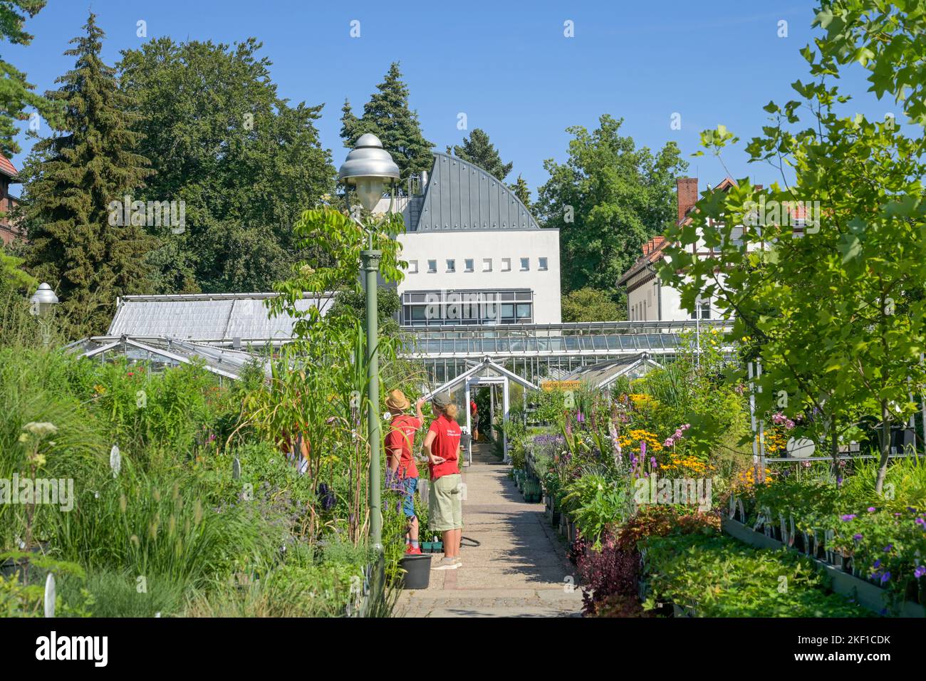 Gartencenter hires stock photography and images Alamy