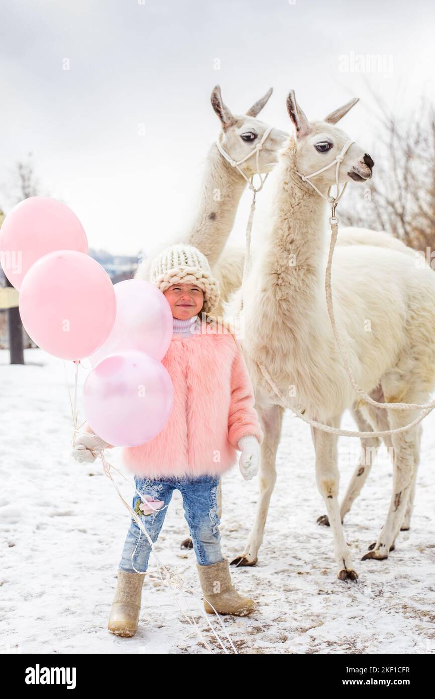 A beautiful little girl child in a fur coat stands with an alpaca in a