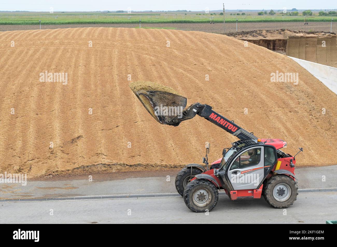 SERBIA, biogas plant , maize silage storage / SERBIEN, Svetozar Miletic bei Sombor, Agrarbetrieb Agro plus Energy mit einer Biogasanlage des österreichischen Herstellers Biogest, Maissilage für Vergärung Stock Photo