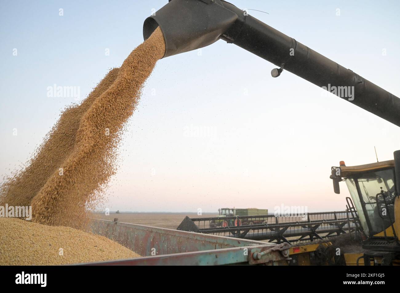 SERBIA, region Vojvodina, Danube Soja, initiative for promotion of Soy