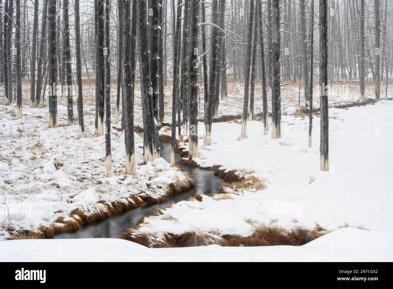 Pine flats hot springs hires stock photography and images Alamy