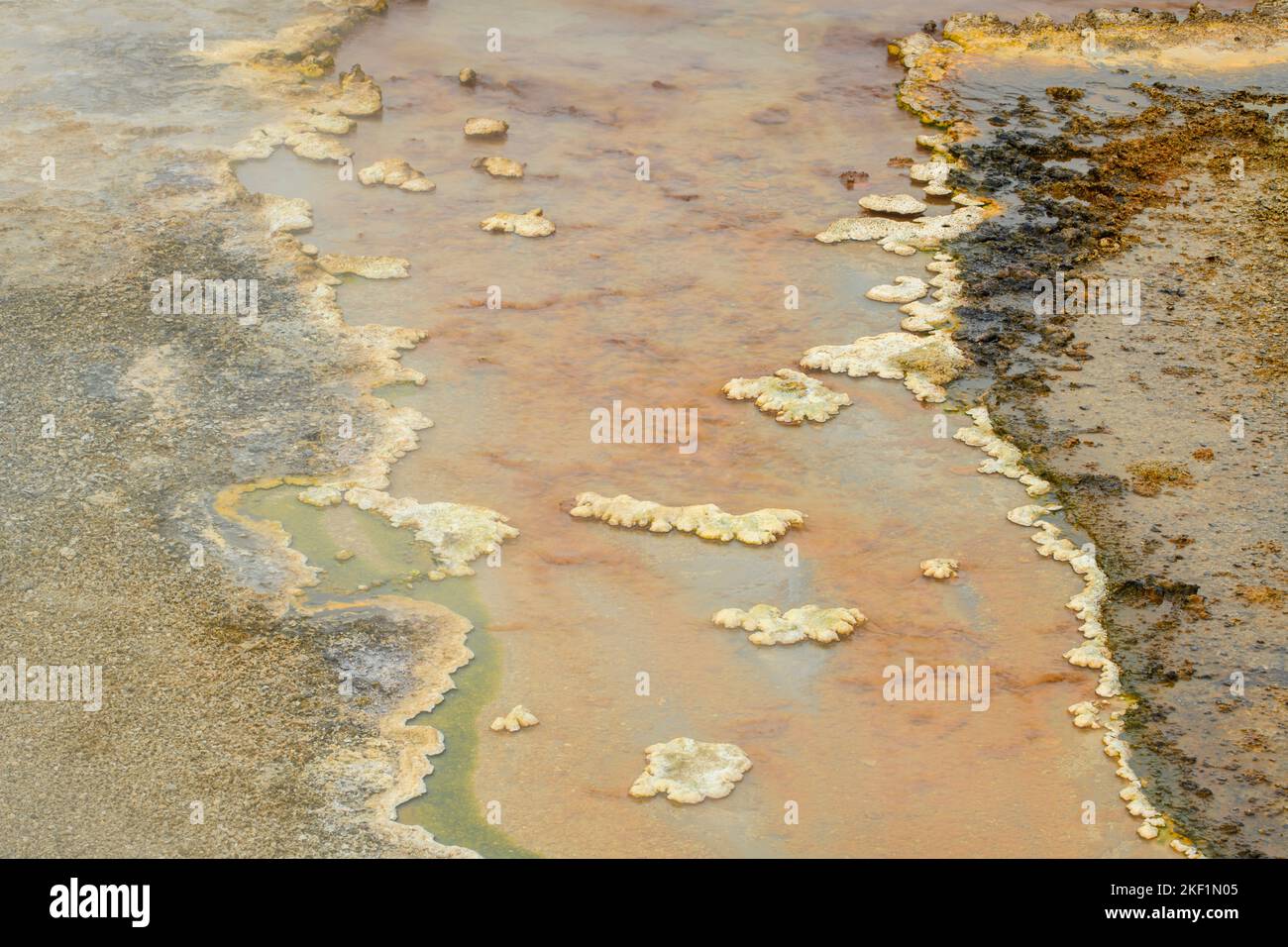 Black Sand Geyser Basin in winter- Bacterial formations, Yellowstone National Park, Wyoming, USA Stock Photo
