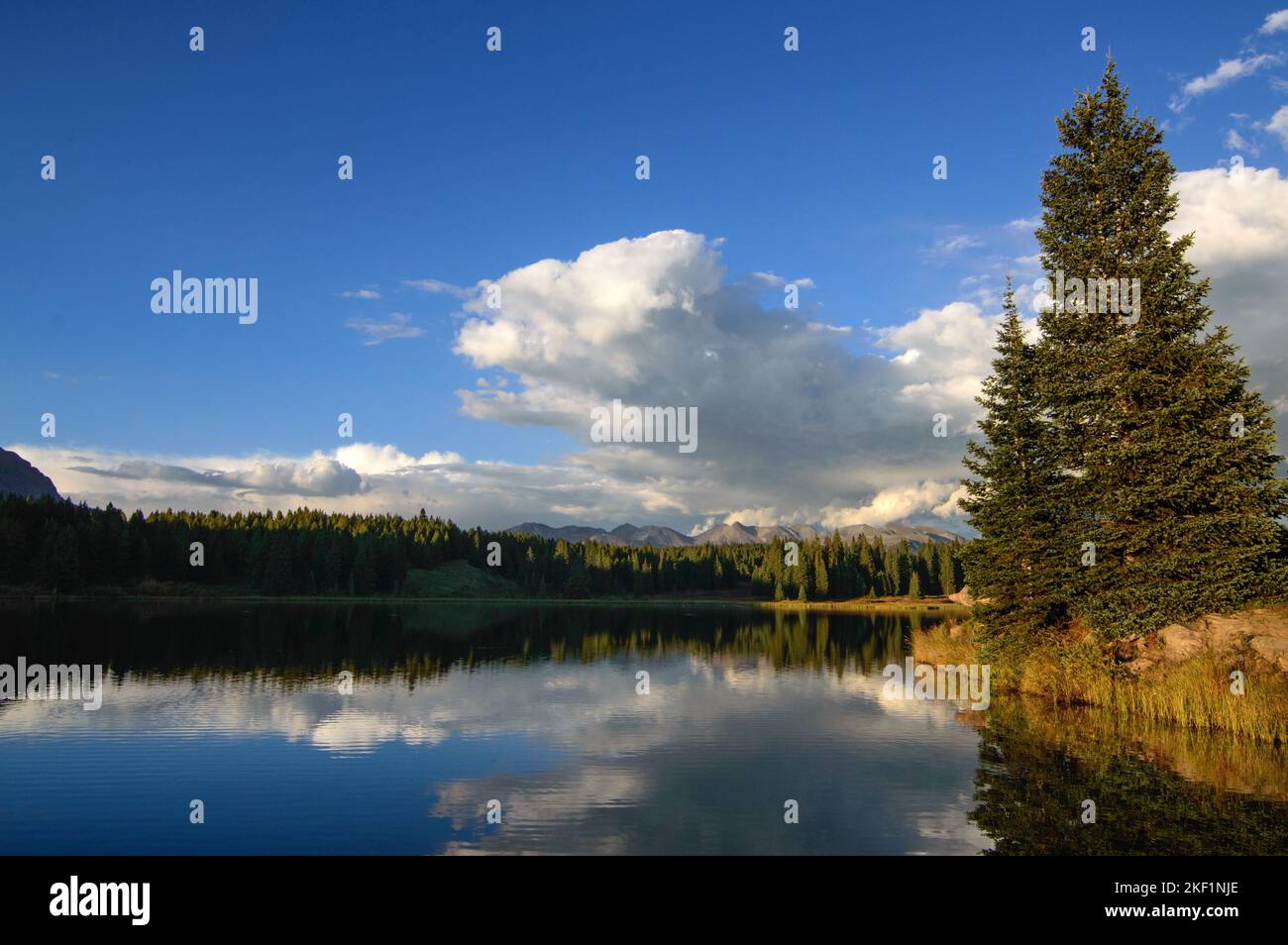 Jackson Res The beautiful landscape of Jackson Reservoir in Colorado with pine ...