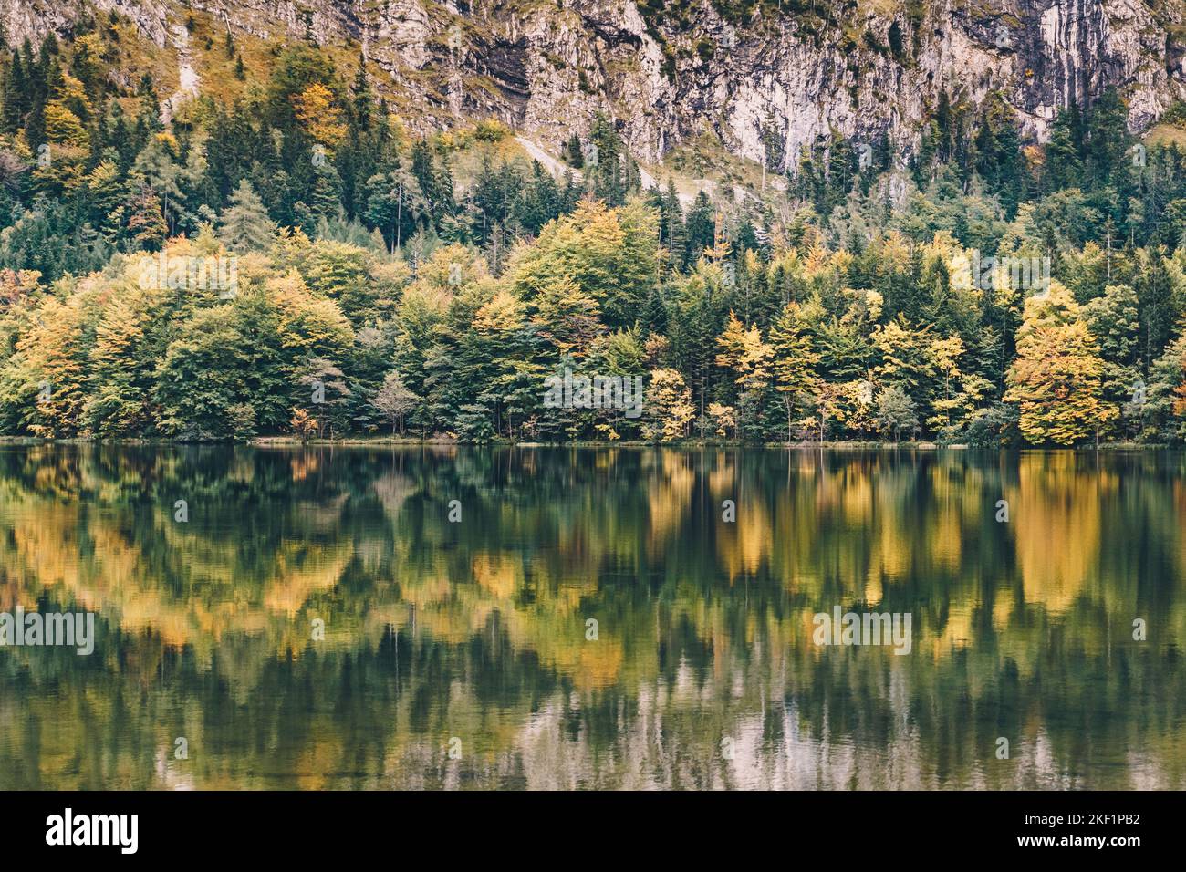 Lake Laudachsee in Upper Austria during autumn. Scenic landscape with forest trees reflection. Stock Photo