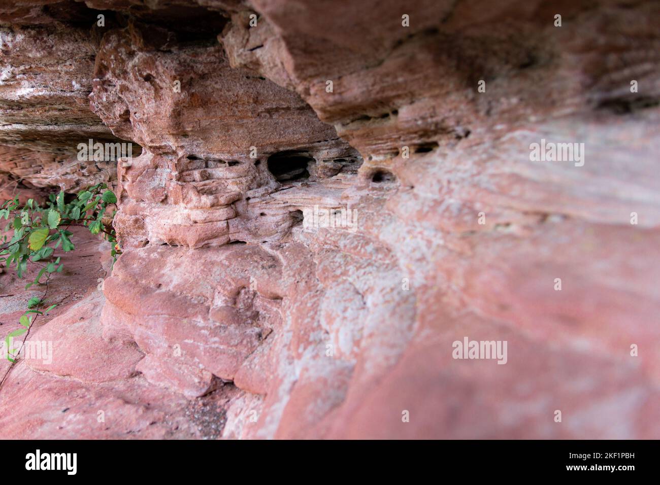 Surface of a red sandstone rock hi-res stock photography and images - Alamy