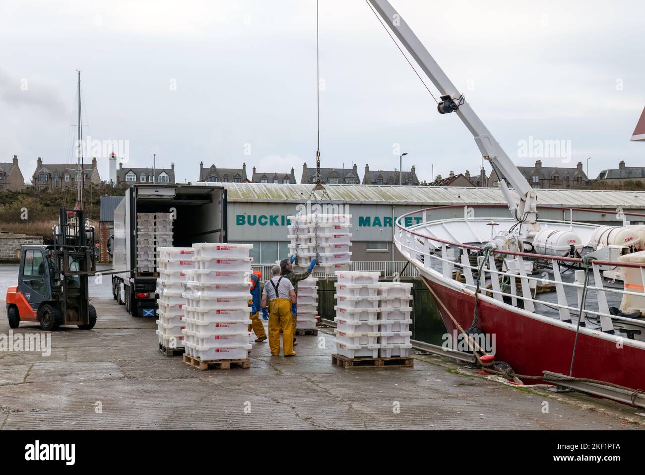 Buckie, Moray, UK. 15th Nov, 2022. This is a Buckie Reg Fishing Boat at the Pier of Buckie Harbour unloading its catch of Prawns. Credit: JASPERIMAGE/Alamy Live News Stock Photo