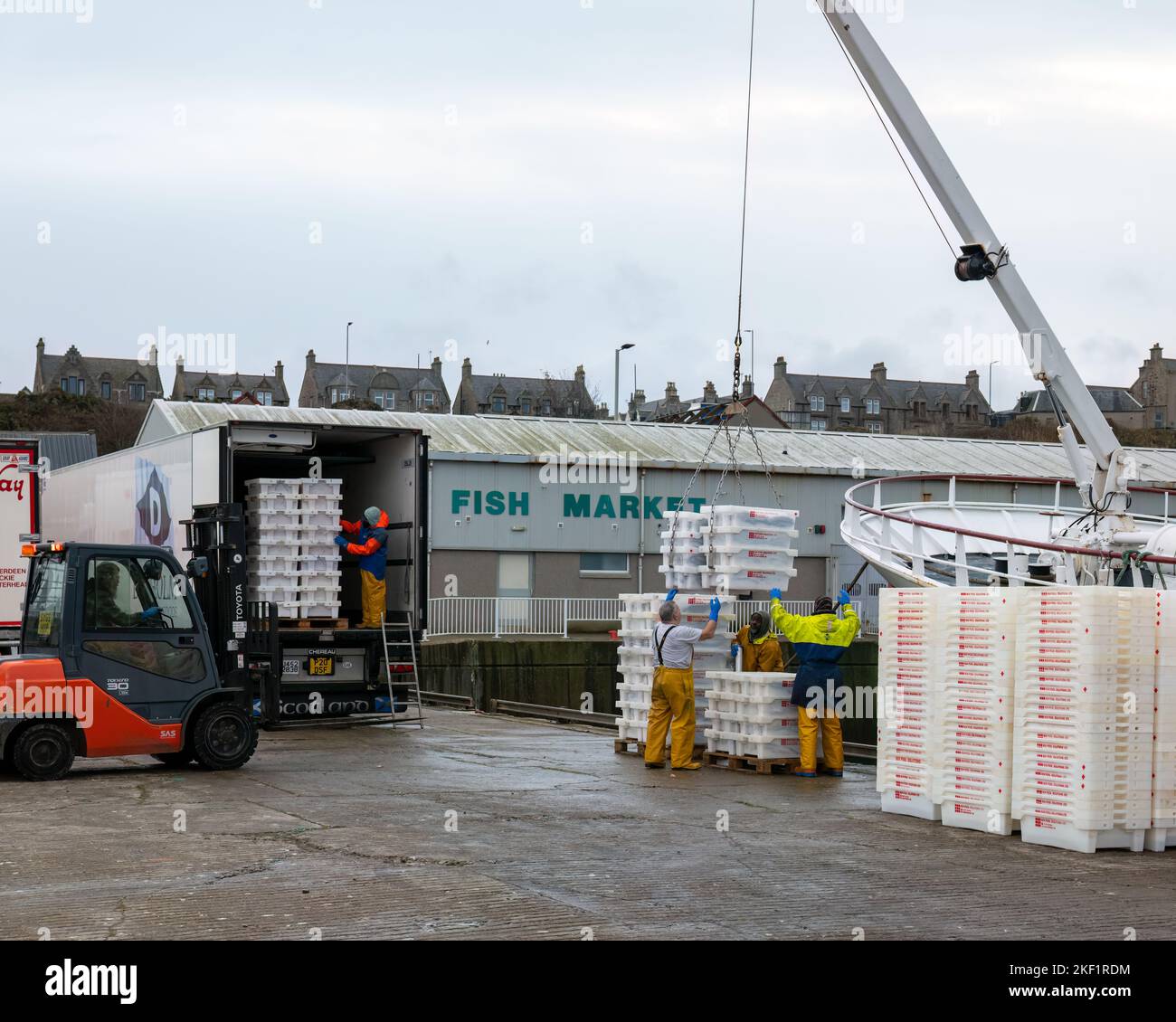 Buckie, Moray, UK. 15th Nov, 2022. This is a Buckie Reg Fishing Boat at the Pier of Buckie Harbour unloading its catch of Prawns. Credit: JASPERIMAGE/Alamy Live News Stock Photo