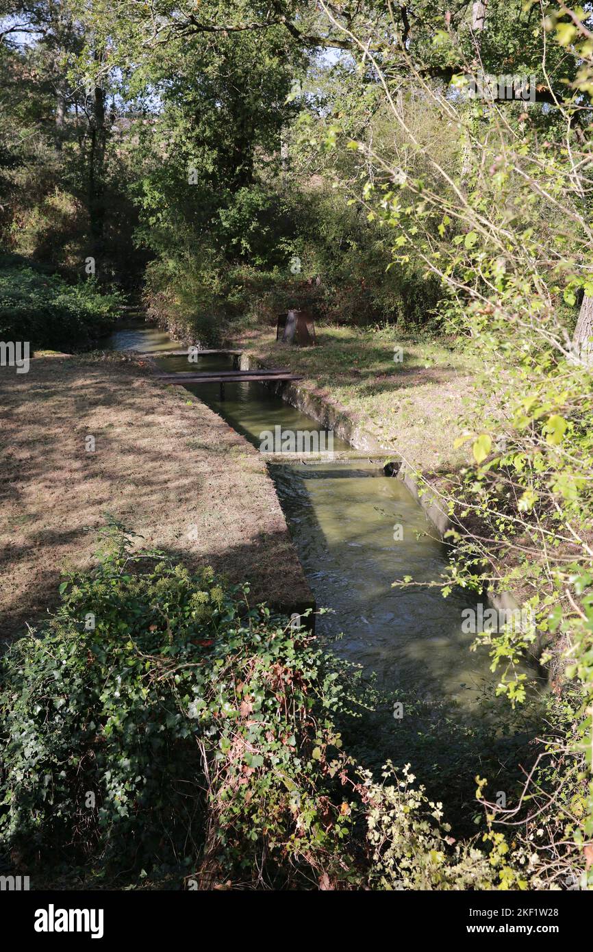 Mer Rouge, La Brenne National Park, Indre, France Stock Photo Alamy