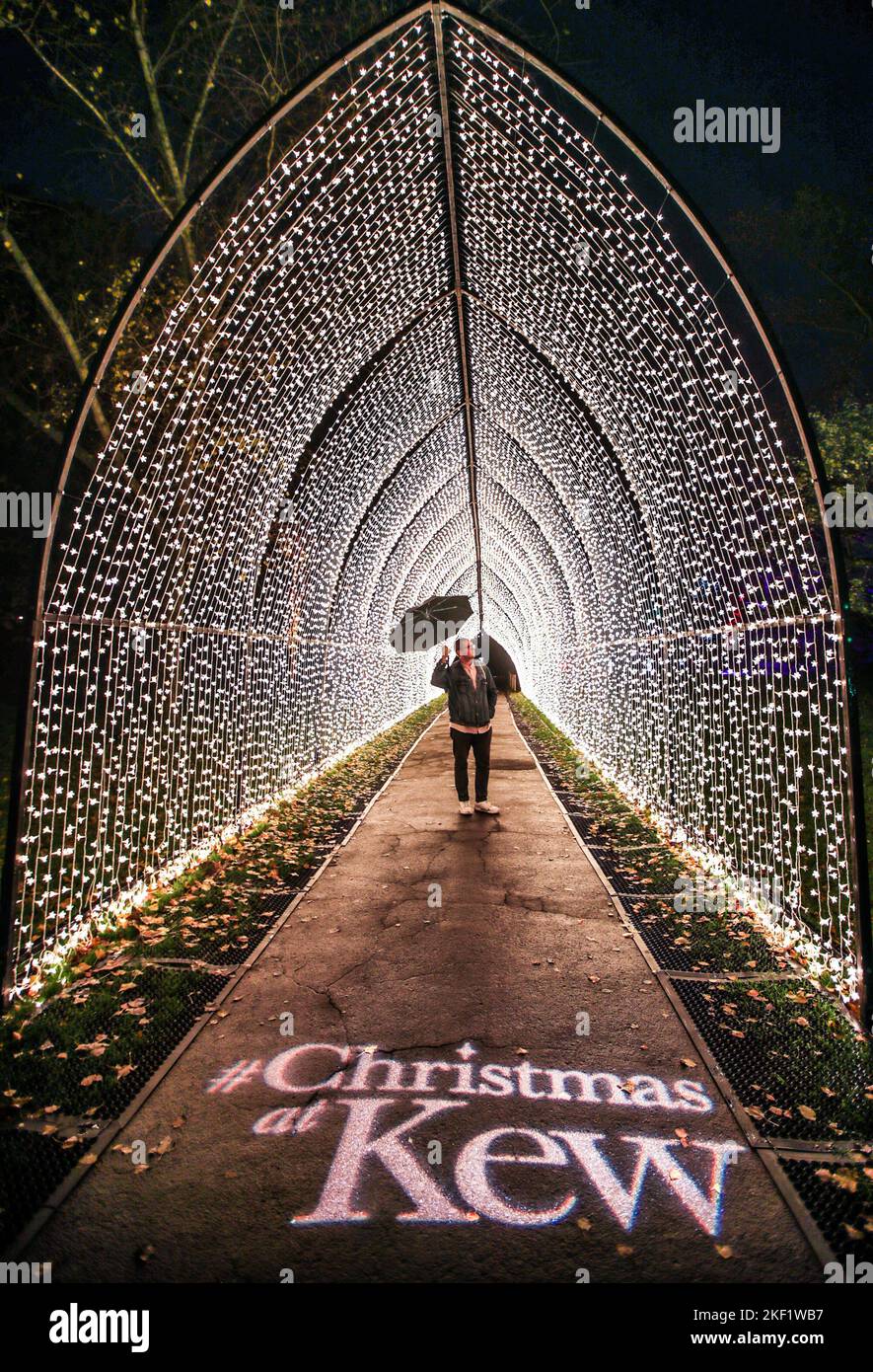 London UK 15  November  2022  The UK’s original festive light trail through Kew’s magnificent after-dark landscape, returning for its tenth year with some mesmerizing new light installations.Paul Quezada-Neiman/Alamy Live News Stock Photo