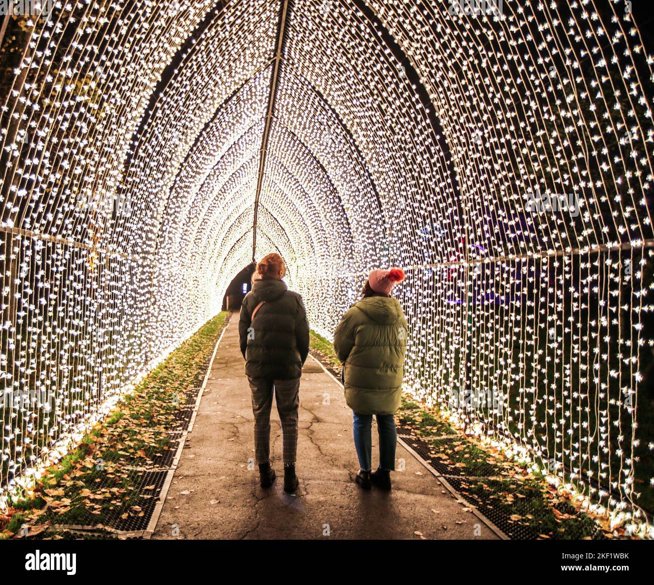 London UK 15  November  2022  The UK’s original festive light trail through Kew’s magnificent after-dark landscape, returning for its tenth year with some mesmerizing new light installations.Paul Quezada-Neiman/Alamy Live News Stock Photo
