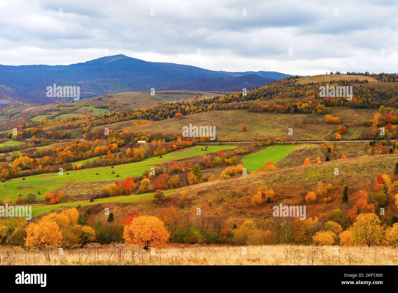 Colorful landscape, trees and fields, mountains in background, autumn scene, Carpathian mountains, Ukraine Stock Photo