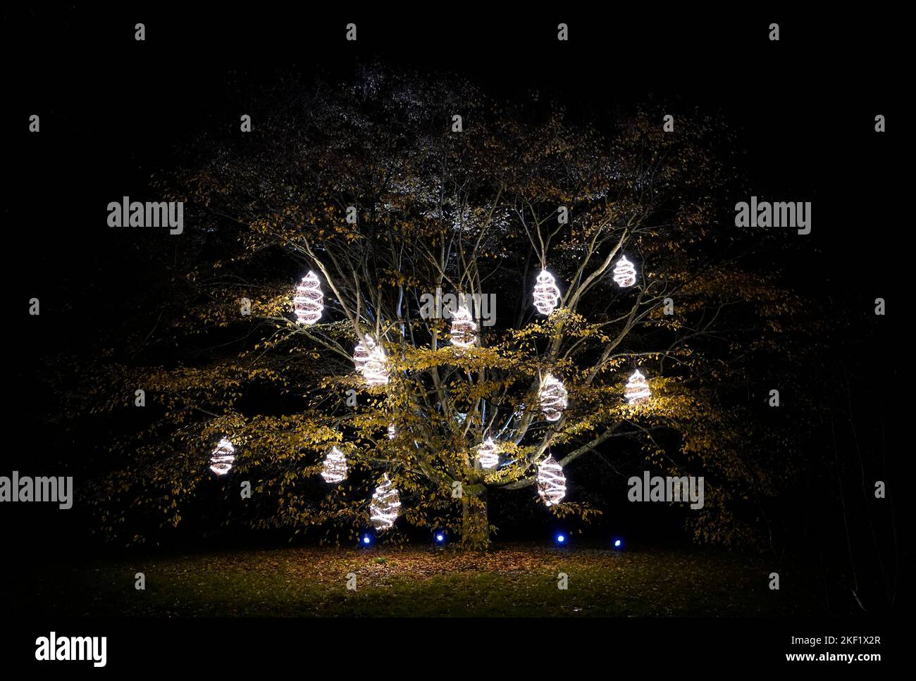 Willow hives are illuminated on a tree during a preview for Kew's