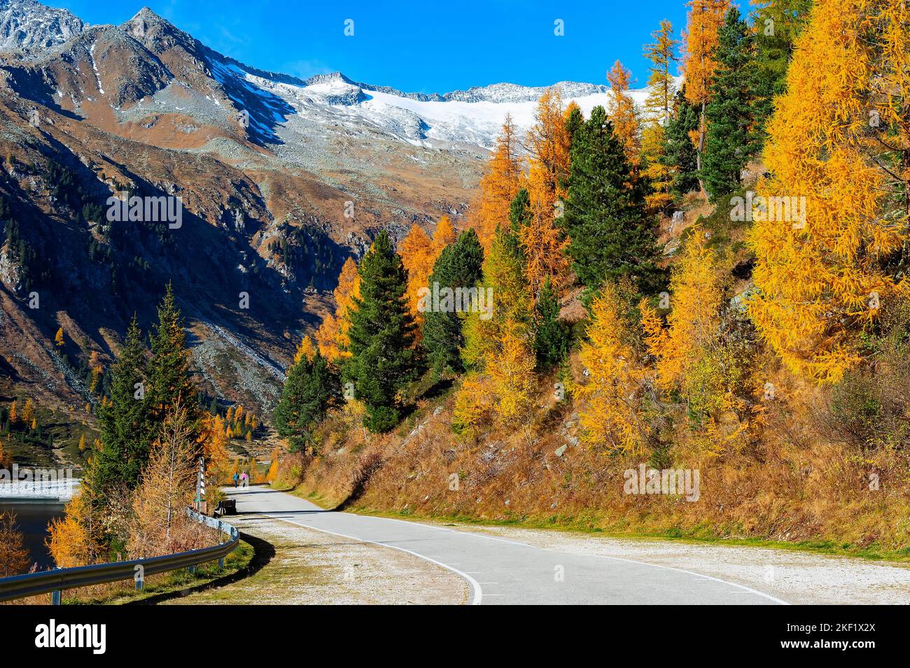 People walking mountain road, autumn forest, mountains landscape, Alps, Austria Stock Photo