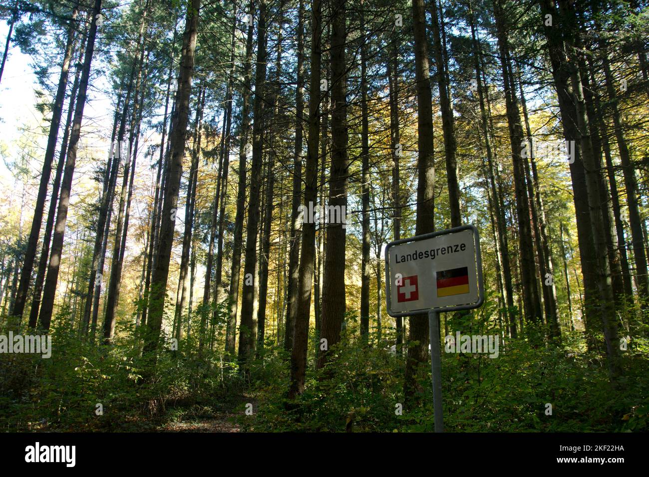 Grenzschild im Wald an der Landesgrenze zwischen der Schweiz und Deutschland Stock Photo