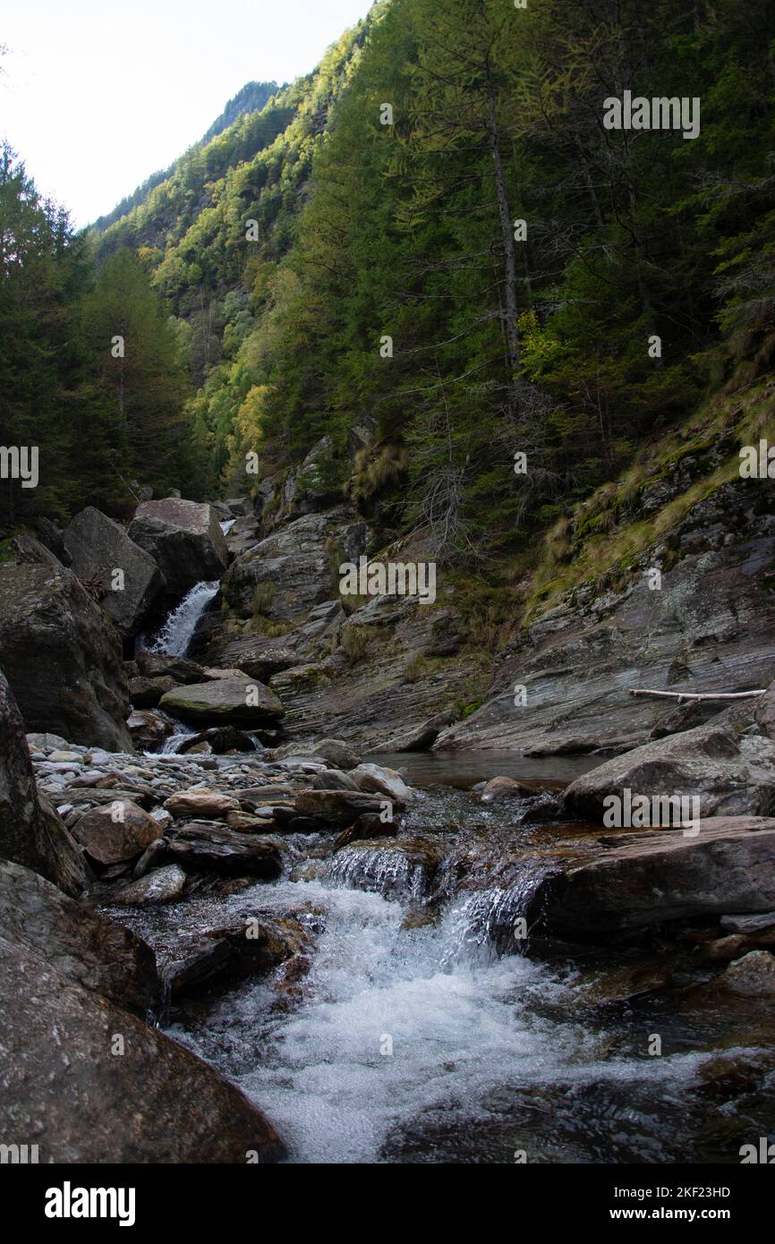 Wildnis im Val Nedro, einem schwer zugänglichen Seitental der Leventina Stock Photo