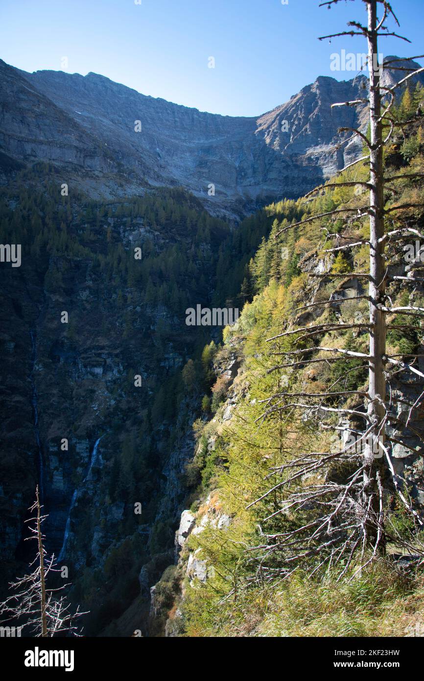 Wildnis im Val Nedro, einem schwer zugänglichen Seitental der Leventina Stock Photo
