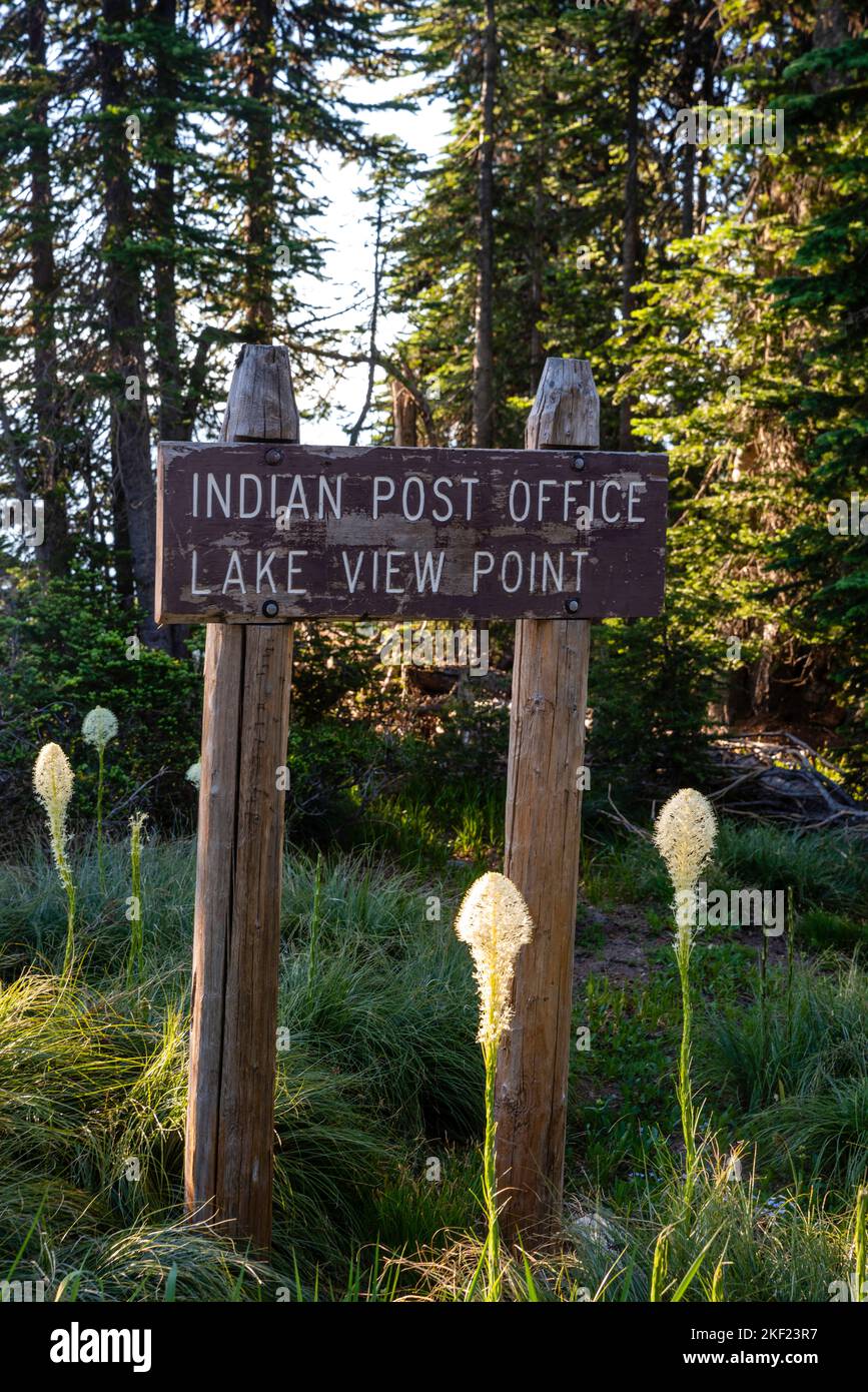 Morning at Indian Post Office, along the Lolo Trail, Clearwater National Forest, Idaho, USA. Stock Photo