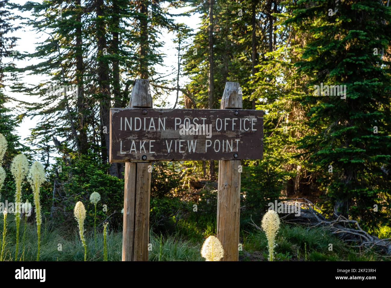 Morning at Indian Post Office, along the Lolo Trail, Clearwater National Forest, Idaho, USA