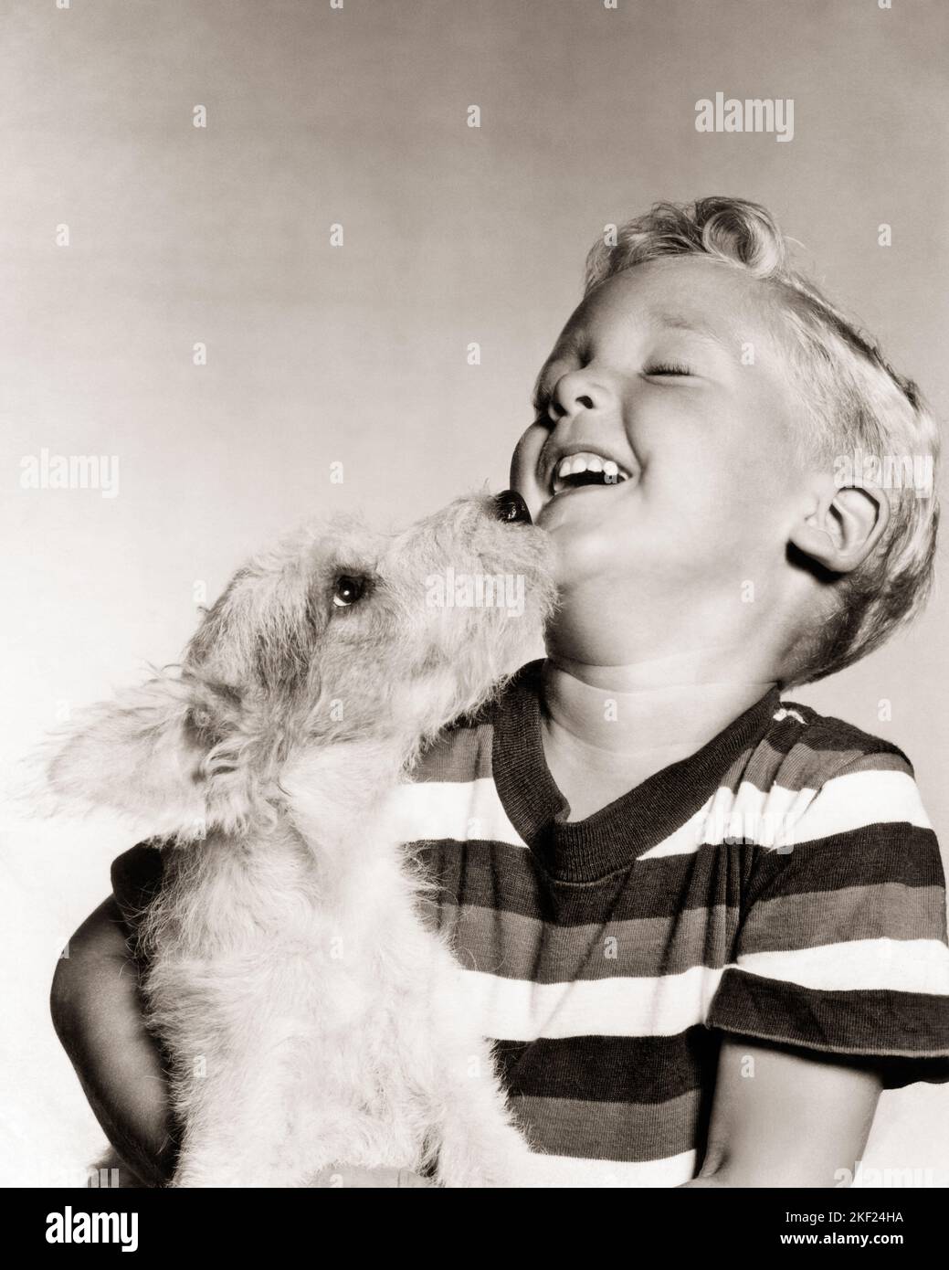 1940s 1950s SMILING LAUGHING BOY BEING LICKED BY PET WIRE HAIRED TERRIER DOG - d2201 HAR001 HARS JOY STRIPED STUDIO SHOT RURAL HEALTHINESS HOME LIFE COPY SPACE FRIENDSHIP HALF-LENGTH CARING MALES PETS B&W TERRIER LICKING HAPPINESS MAMMALS CANINES TO HAIRED CONNECTION CONCEPTUAL JOYFUL T-SHIRT MUTT CANINE JUVENILES MAMMAL TEE SHIRT TICKLE TOGETHERNESS BLACK AND WHITE CAUCASIAN ETHNICITY HAR001 OLD FASHIONED Stock Photo