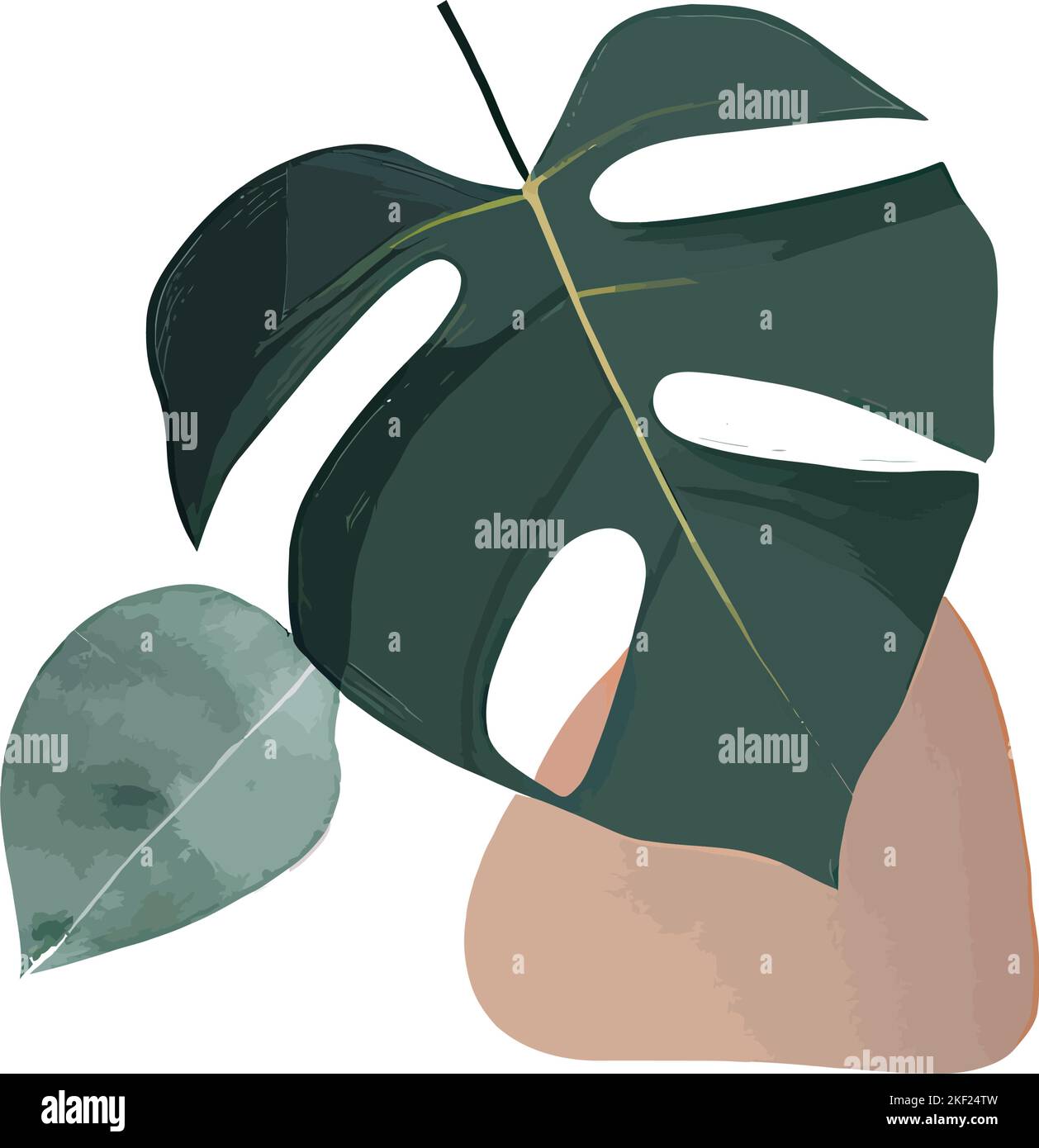 A vector of green leaves in gray background Stock Vector Image & Art ...