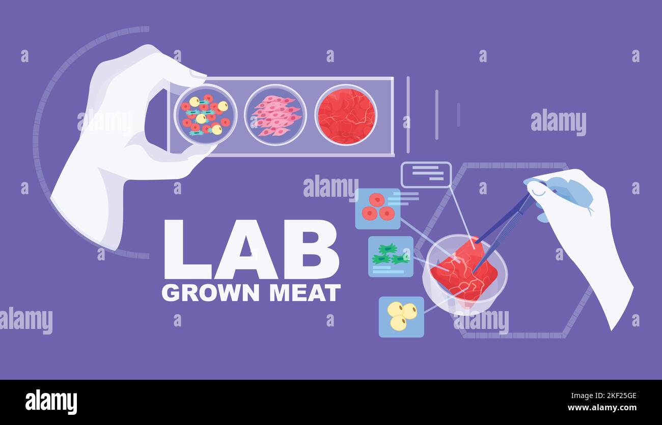 scientist hands analyzing dna of cultured red raw meat made from animal