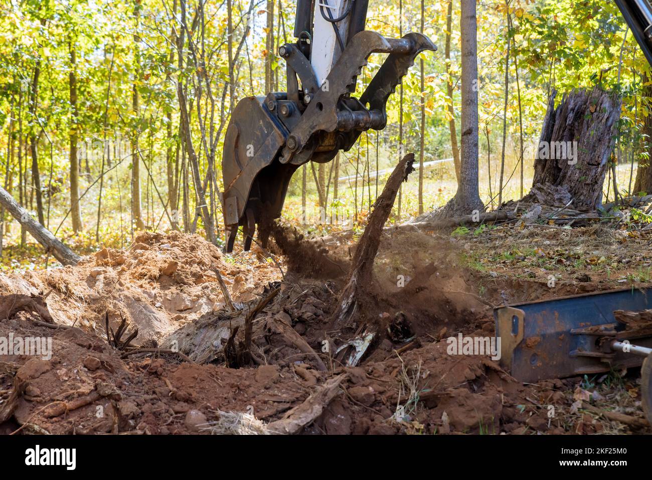 Preparation land in tractor work with during deforestation landscaping