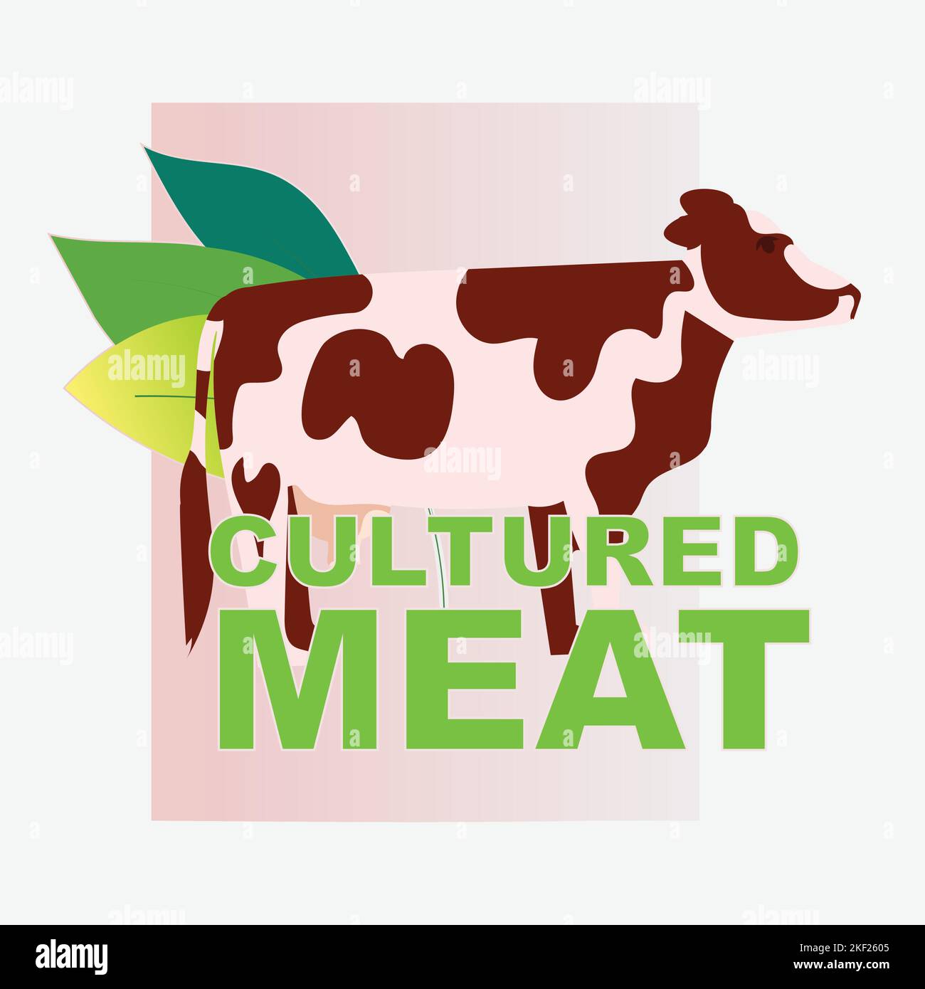 cell cultured veal meat artificial lab grown meat production concept