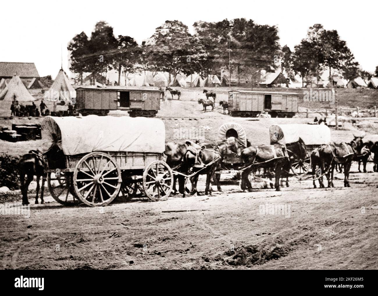 1800s 1860s A BAGGAGE TRAIN AND SIX MULE WAGONS AT A UNION FEDERAL CAMP AMERICAN CIVIL WAR  - h8892 SPL001 HARS UNION AND EXCITEMENT LOW ANGLE TENTS UNIFORMS MULES 1860s WAGONS RAILROADS COOPERATION COVERED WAGONS MAMMAL MULE SOLUTIONS AMERICAN CIVIL WAR BAGGAGE BATTLES BLACK AND WHITE CIVIL WAR CONFLICTS FEDERAL OLD FASHIONED Stock Photo
