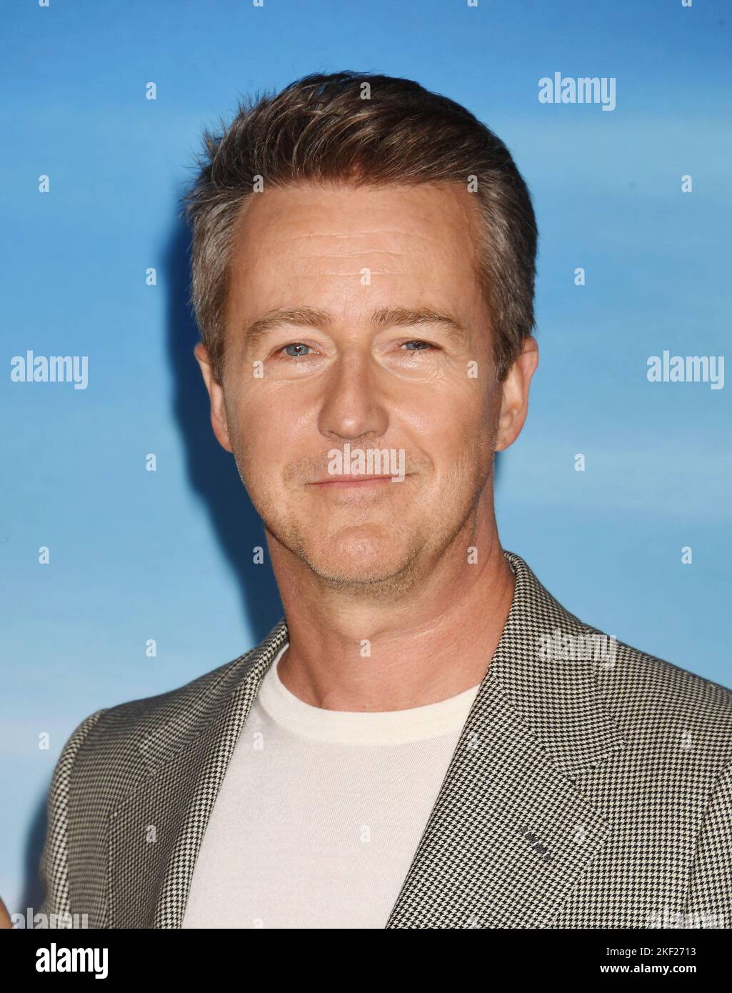 LOS ANGELES, CALIFORNIA NOVEMBER 14 Edward Norton attends the