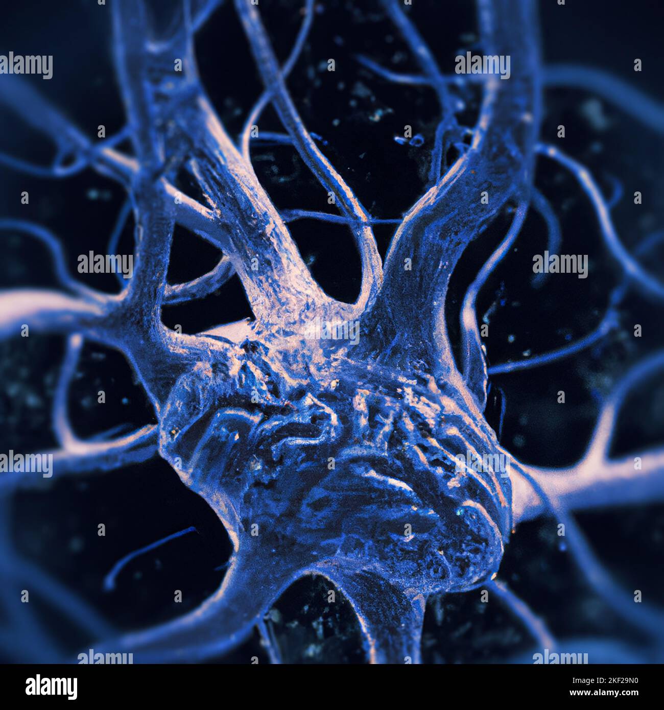 Microscopic view of the synapses. Brain connections. Neurons and synapses. Communication and cerebral stimulus. Neural network circuit, degenerative Stock Photo