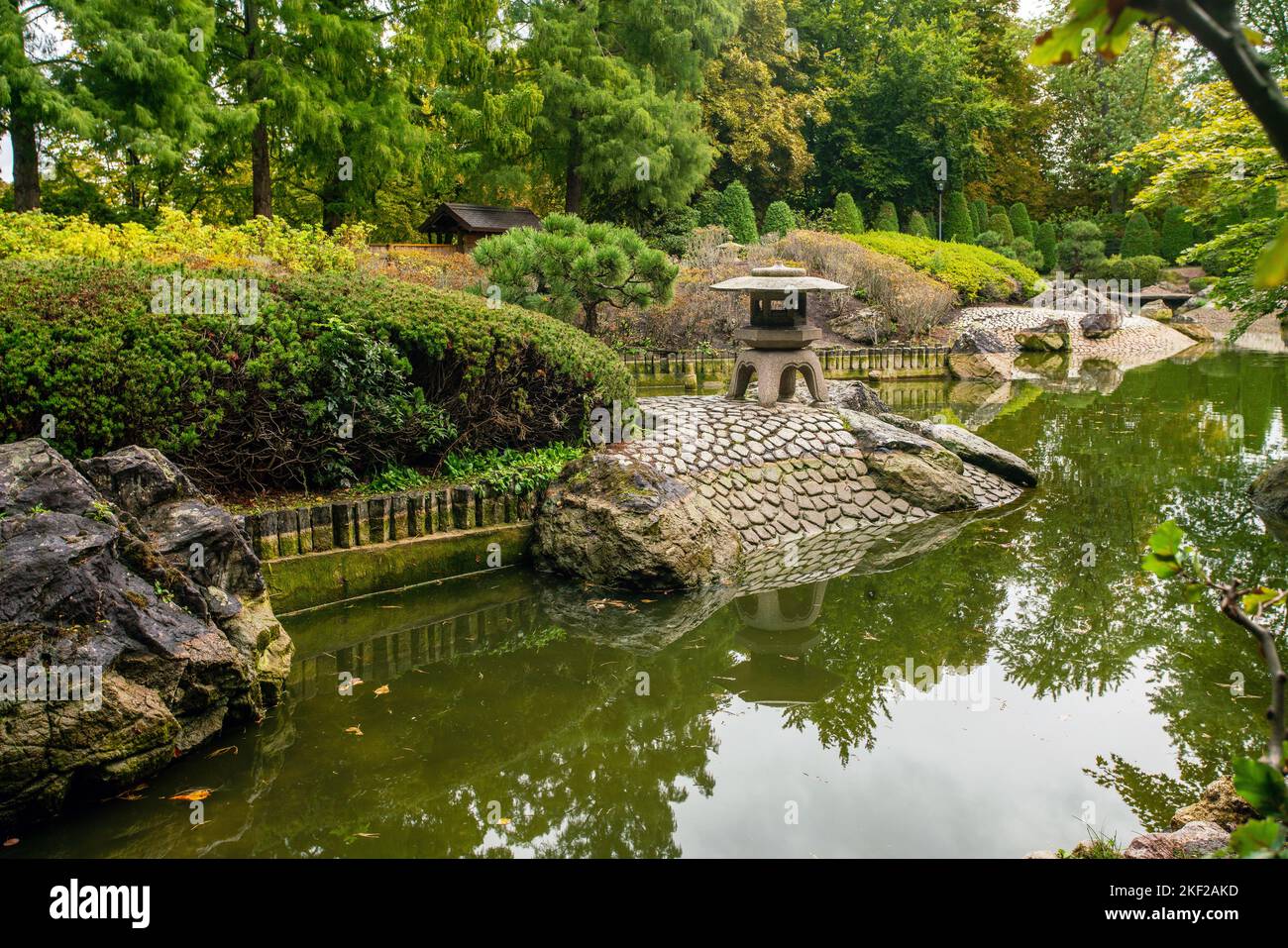 Japanese garden  with lantern and pond  and      Lagarostrobos franklinii   tree in back  in Bonn Germany Stock Photo