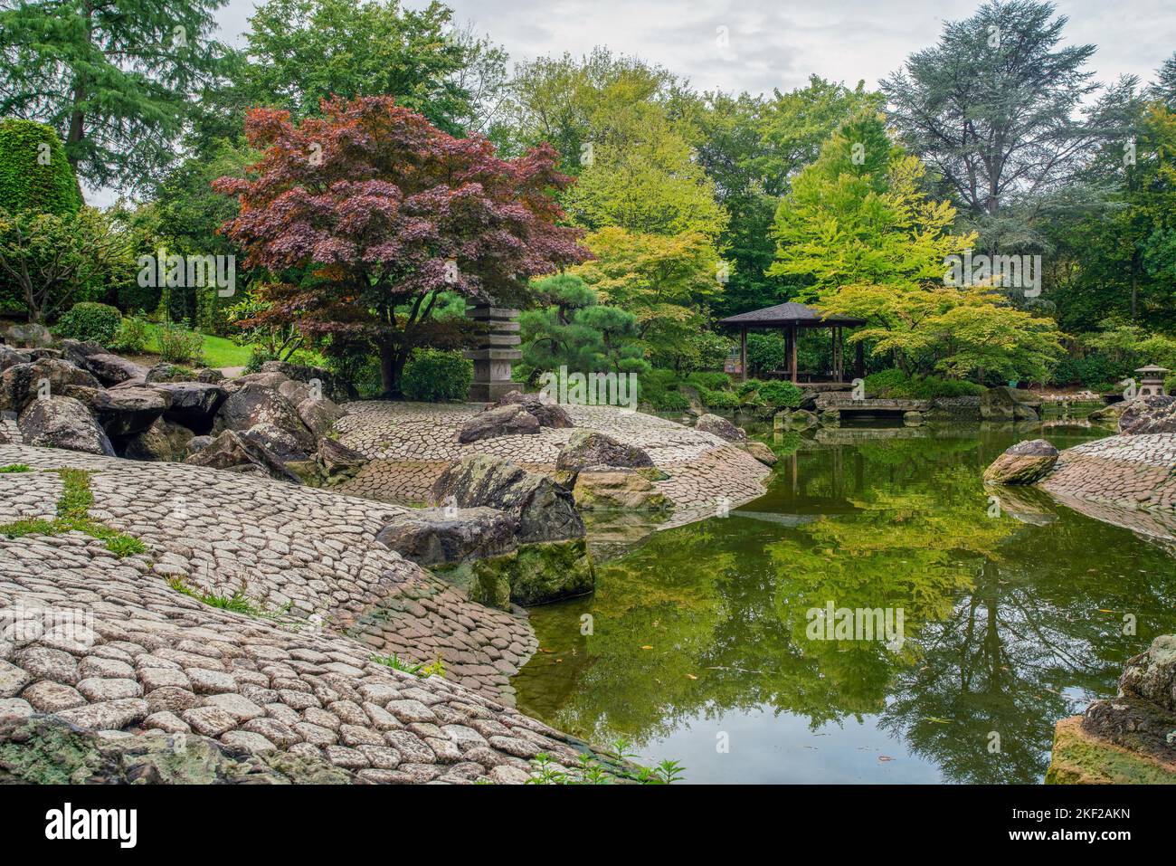 Stone banks of the pond and Japanese maple and Lebanese cedar and Lagarostrobos franklinii  tree  and reflections in the water and the pavilion in the Stock Photo
