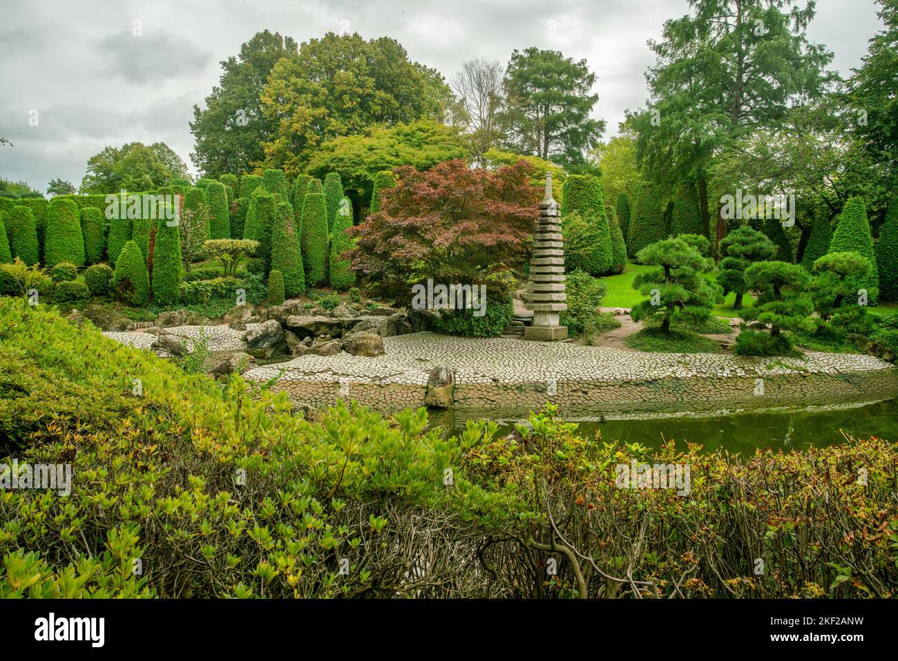 Stone banks of the pond and Japanese maple and  japanese lantern and Lagarostrobos franklinii  tree  in distance - excellent japanese garden in Bonn Stock Photo