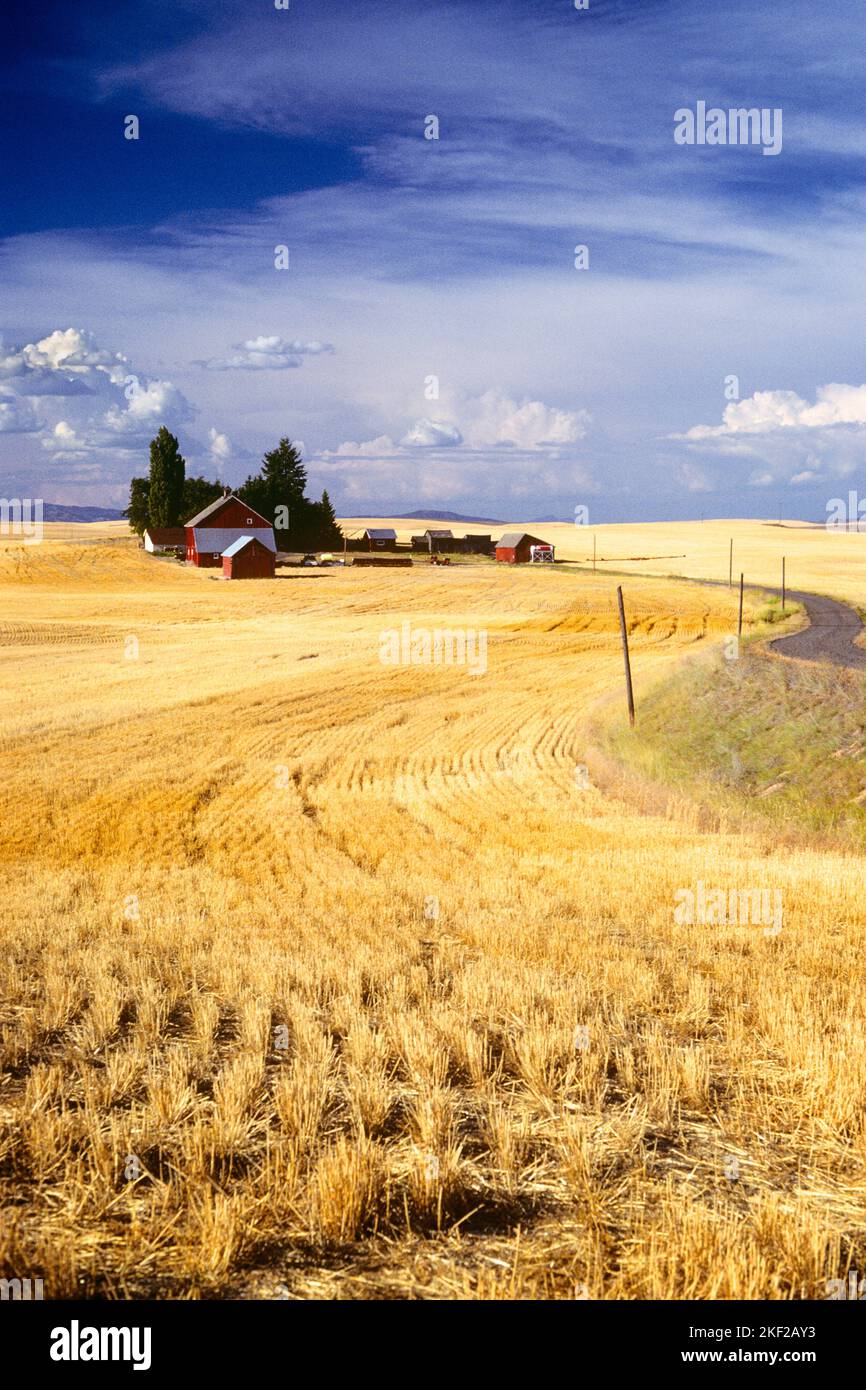 1980s SMALL GRAIN FIELDS AND FARM EASTORIA WASHINGTON USA kf25669